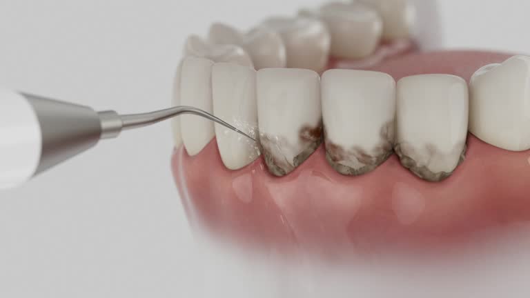 Reliable Dental contractor in Lake Ridge, VA by Dentist Open Now